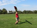 Fliegen (12)